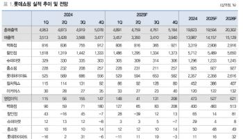 롯데쇼핑, 4분기 성수기 앞두고 양호한 성장세 지속-대신