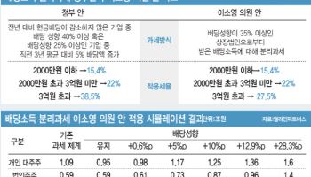 배당소득 분리과세 25% 인하 추진…증권·금융株 ‘불기둥’