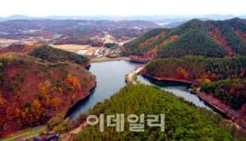 빨간 단풍 익어가는 속리산 말티재 숲.."지역경제도 살어리랏다"