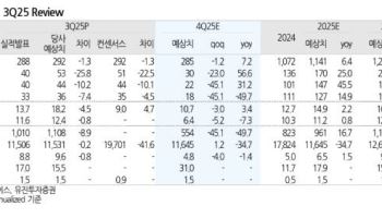 파라다이스, 중국 VIP 회복세 긍정적-유진