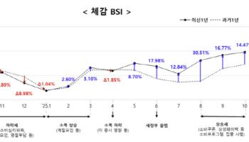 소비쿠폰 효과…10월 '소상공인 경기지수' 5년래 최고