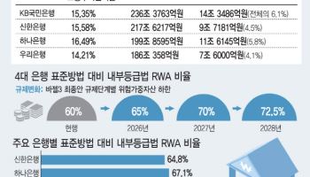 '2년간 12조 더 쌓아야'…상생 압박에 규제 덮친 5대銀 건전성 비상
