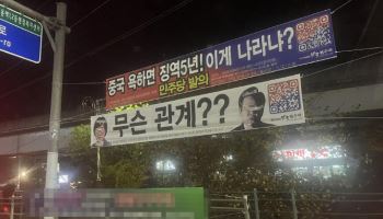 李대통령 말한 '저질스런 현수막' 뭐길래...민주 "법 개정 추진"