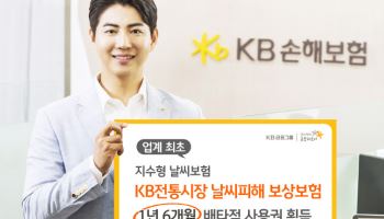 KB손보, 업계최초 지수형 날씨보험 1년 6개월 배타적사용권 획득