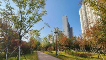 산림청, 녹색도시 우수사례 14곳 선정