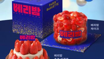 파리바게뜨, 홀리데이 시즌 케이크 사전예약…최대 30% 혜택