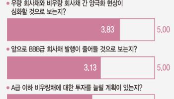 크레딧 시장 양극화…내년에도 이어지나