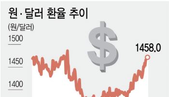 올해는 불안, 내년은 불투명…‘고환율’ 고착화 시대