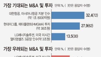 [36th SRE][Issue]불황 속 M&A 빅딜…‘기대 반 걱정 반’
