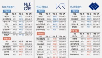 NICE신평, 선제 조정 8건으로 이슈 선도