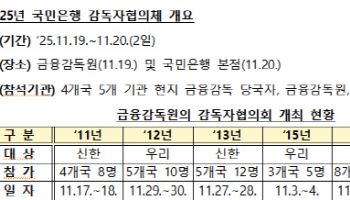 금감원, 해외금융당국과 8년 만에 감독자협의체