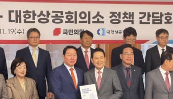 최태원 "성장할수록 계단식으로 규제 느는 시스템 바꿔야"