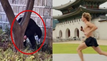 “예의 좀”…경복궁 ‘용변 테러’ 모자라 옷 벗고 뛰는 외국인들