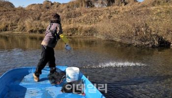 연천군, 임진강·한탄강에 다슬기 치어 83만마리 방류