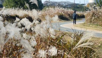 주말까지 늦가을 날씨 계속…다음 주 기온 떨어지고 잦은 비