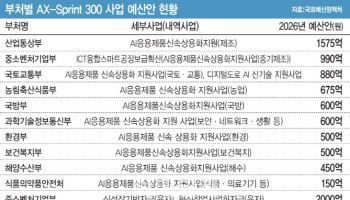 'AI’ 간판 씌운 예산 폭증…보류·삭감 잇따라