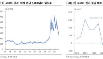 코코아 가격 하락에…롯데웰푸드, 수익성 개선 기대-한국