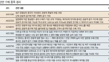 ‘한일령’ 내년 춘절까지 이어진다…주목할 수혜주는