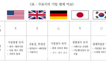 덩치 커질수록 페널티, 韓 유일…미국은 독점에 옐로우카드