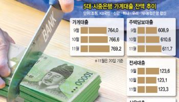 은행 “올해 가계대출, 문 닫습니다”…연말 ‘대출 절벽’ 심화
