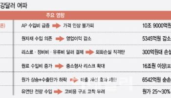 강달러 기조에 손실 불가피…경영계획 수립 골머리 앓는 산업계