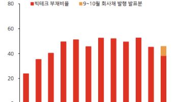 “‘AI 버블’ 불가피…부채비율 우려할 수준은 아냐”