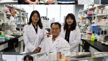 '적색 빛'으로 자극했더니 치매 기억력 되살렸다