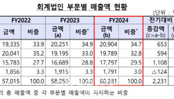 회계법인 총매출 6조원 돌파…감사보수는 3년째 하락