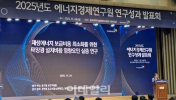 12만건 데이터 보니…“中 태양광 과도하면 비용↑”