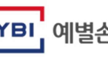 매각 공고 앞둔 예별손보…보험사 M&A 침체로 성공 먹구름