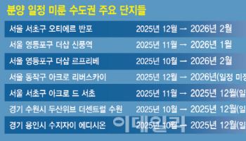 10·15대책 그늘 드리우자…수도권 곳곳 분양일정 "내년으로"