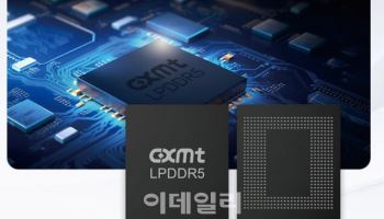 중국, 결국 일냈다…창신메모리, 프리미엄 D램 깜짝 공개