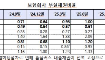 9월 말 보험사 대출채권 석 달전보다 4조 줄어