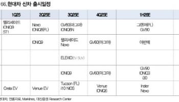 현대차, 내년 주가 상승 모멘텀 충분…목표가↑-대신