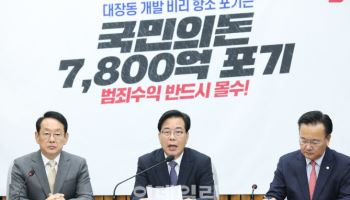국힘, 與 내란전담재판부 재추진에 “헌법소원 예정” 맞불