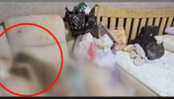 '구더기 아내' 몰랐다던 남편...'거짓말' 들통나, 사실은
