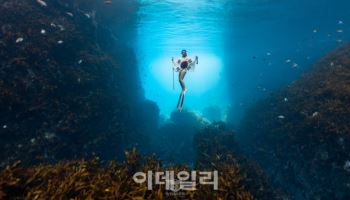 요트로 떠나는 독도 여행…세일링·스노클링·울릉도 탐방까지 