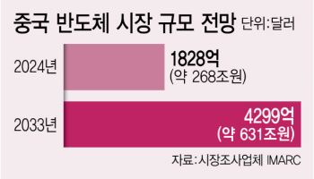 미중 '반도체 허브' 전쟁 중인데…한국만 뒷걸음질