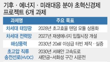 '꿈의 태양광' 차세대 텐덤모듈 2028년 상용화 추진