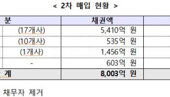새도약기금 8000억 연체채권 추가 매입…대부업에 '은행 차입' 인센티브