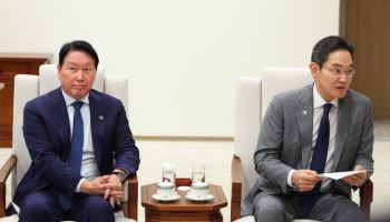 '대기업 특혜' 발목에…첨단산업 골든타임 놓친다