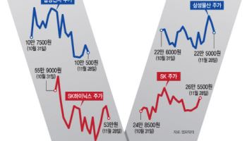 시장 흔들려도 지주사 안정적…정책 훈풍에 ‘방어력’ 부각