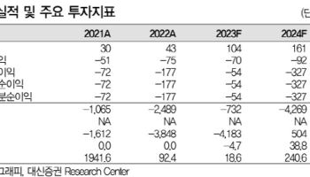 그래피, 내년부터 실적 개선 흐름 뚜렷해질 것-대신