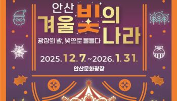 안산시, 7일부터 내달까지 빛축제…회전목마 등 운영
