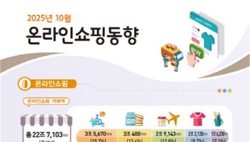 10월 온라인쇼핑거래액 22.7조…"소비쿠폰·테슬라가 이끌었다"