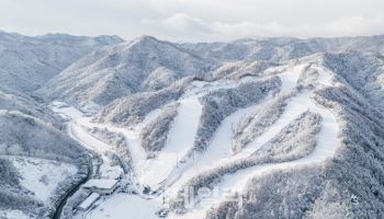 스키장 전쟁 시작…싹 다 바꾼 ‘엘리시안 강촌’ 포문 연다