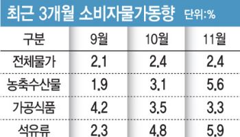주유에 10만원, 장 보는데 20만원…고환율에 고물가 뉴노멀될라