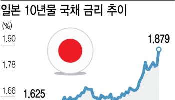 연말랠리 기대했건만…日· 금리 인상 가능성에 글로벌 국채 '출렁'