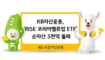 KB운용, ‘RISE 코리아밸류업 ETF’ 순자산 3000억 돌파