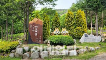 산림의 6차 산업화로 성공…숲 경영 미래를 밝힌다